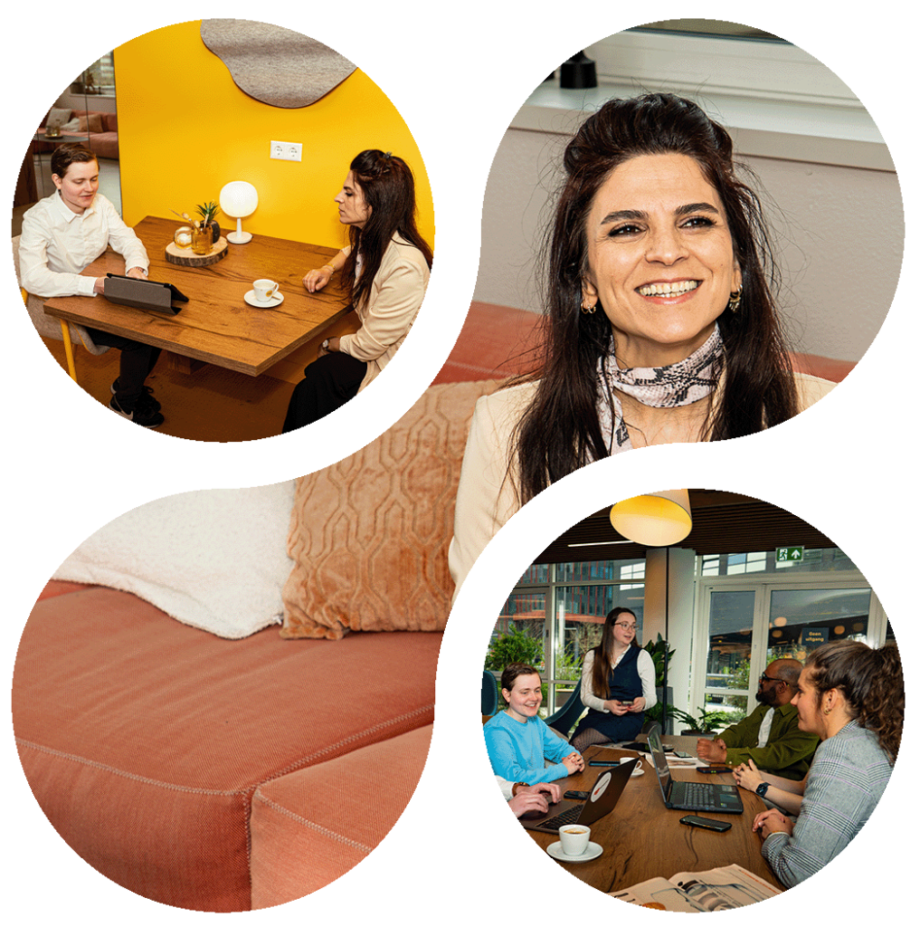 ecosysteem startups flevoland